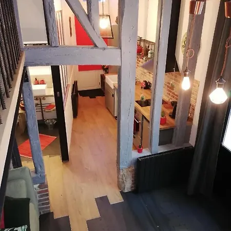 Apartman Le Loft D Oscar Hyper Centre Parking Possible Rouen